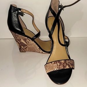 Ann Taylor size 8 Black and Snake